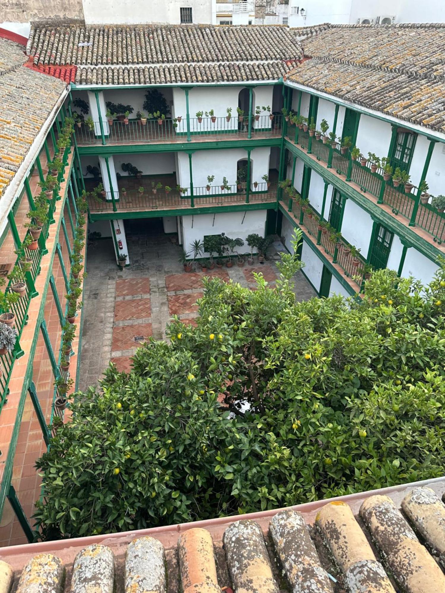Casa Duque Compartida Familiar 1-Habitacion Con Bano Propio Sevilla Kültér fotó